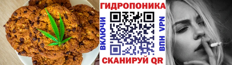 Canna-Cookies марихуана  omg онион  Сясьстрой 