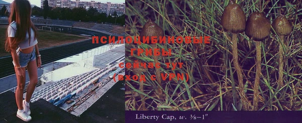 трава Алзамай
