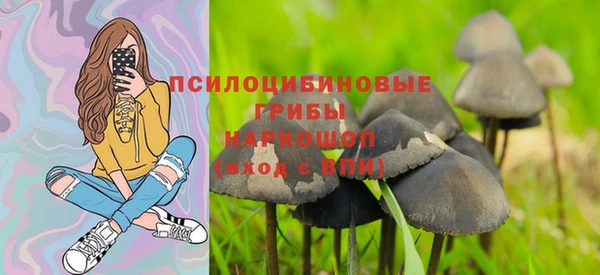 трава Алзамай