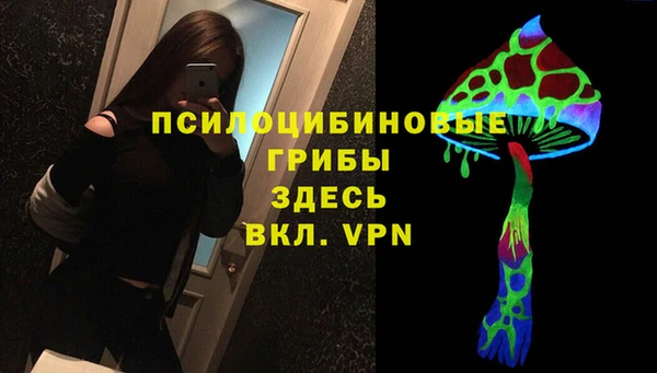 стафф Абаза